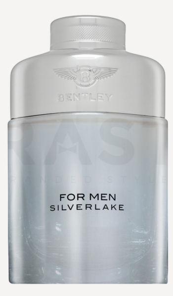 Brasty Eau de parfum Bentley Silverlake hombre 100 ml – Oferta