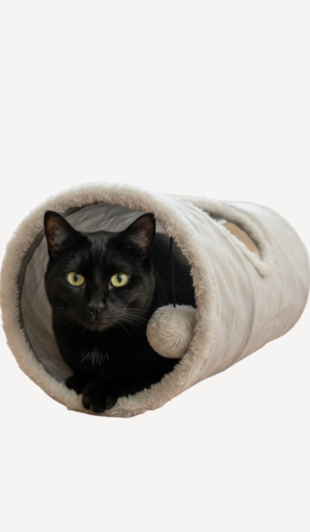 Kiwoko Tootoy! Tunnel con juguete para gatos – Oferta